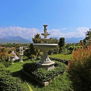 Pua De View Boutique Resort